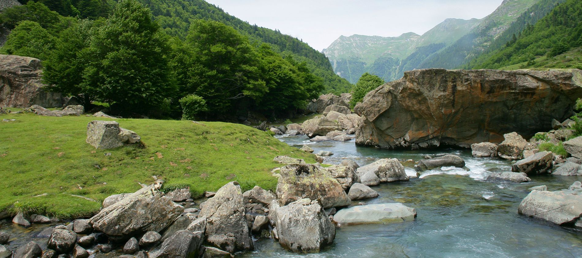 psicologia-atienza-03.jpeg psicologia-atienza-03.jpeg